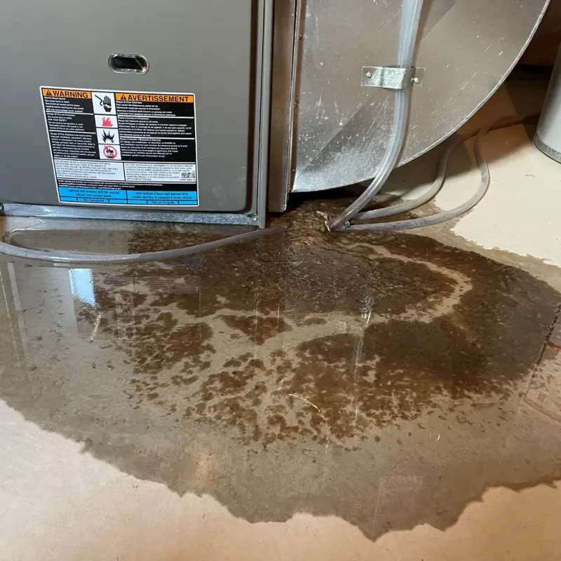 Appliance Leak Cleanup in Cleburne County, AL